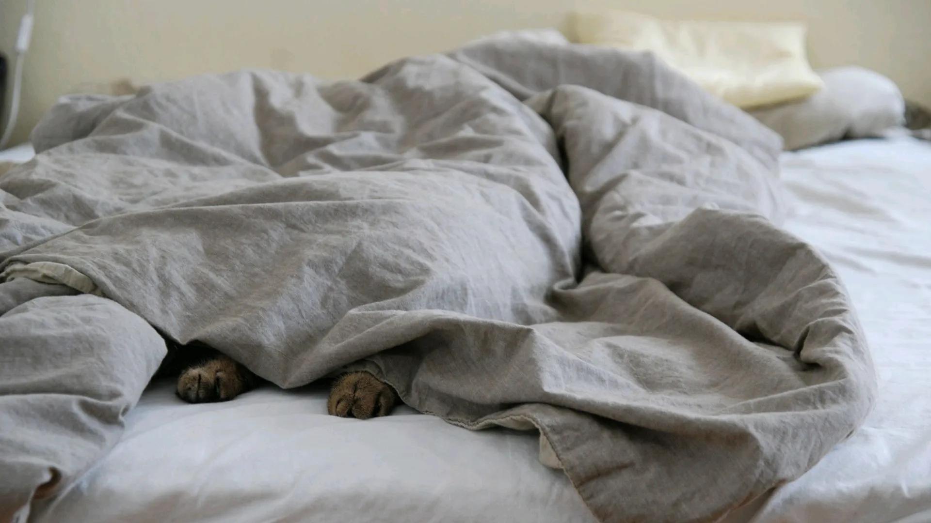 关于中国传统文化的英语表达,中国传统文化名词的英文表达