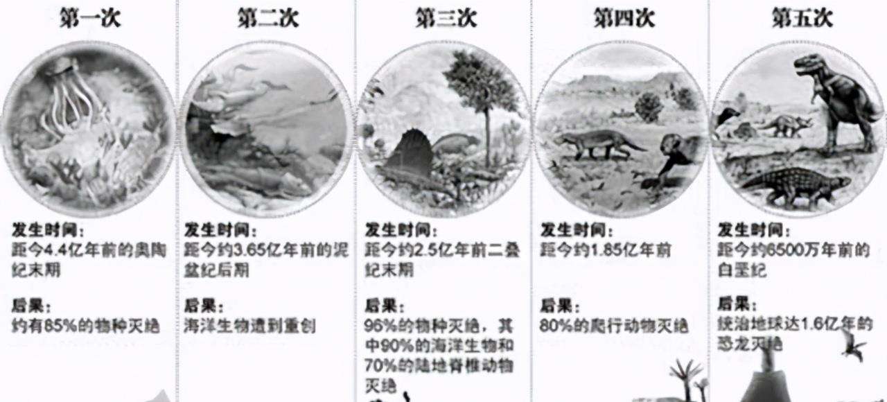 阳彩臂金龟为什么会灭绝,阳彩臂金龟真的灭绝了吗