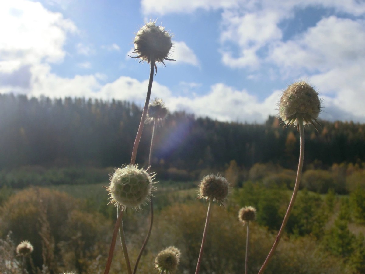 金秋时节登山视频,金秋登太行免费完整版