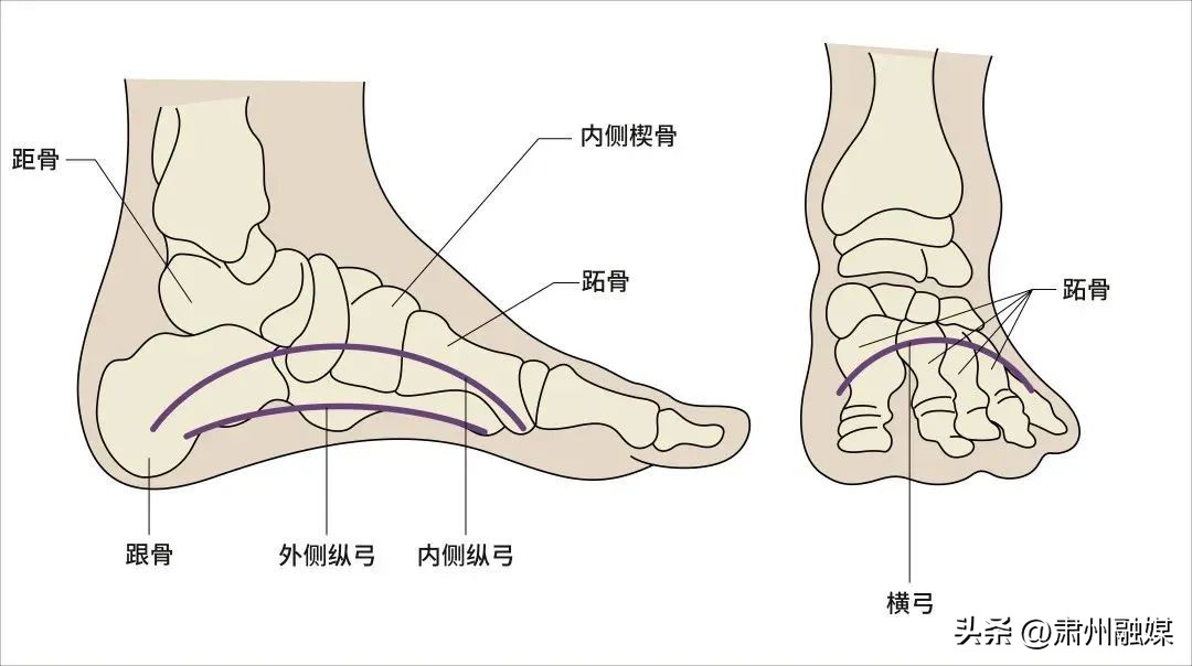 为什么现在的鞋越来越磨脚,原来合适的鞋穿久了也会磨脚