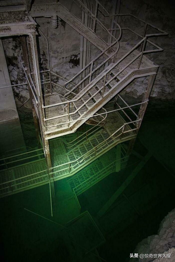 深海恐惧症最怕的100张图,深海恐惧症超长照片