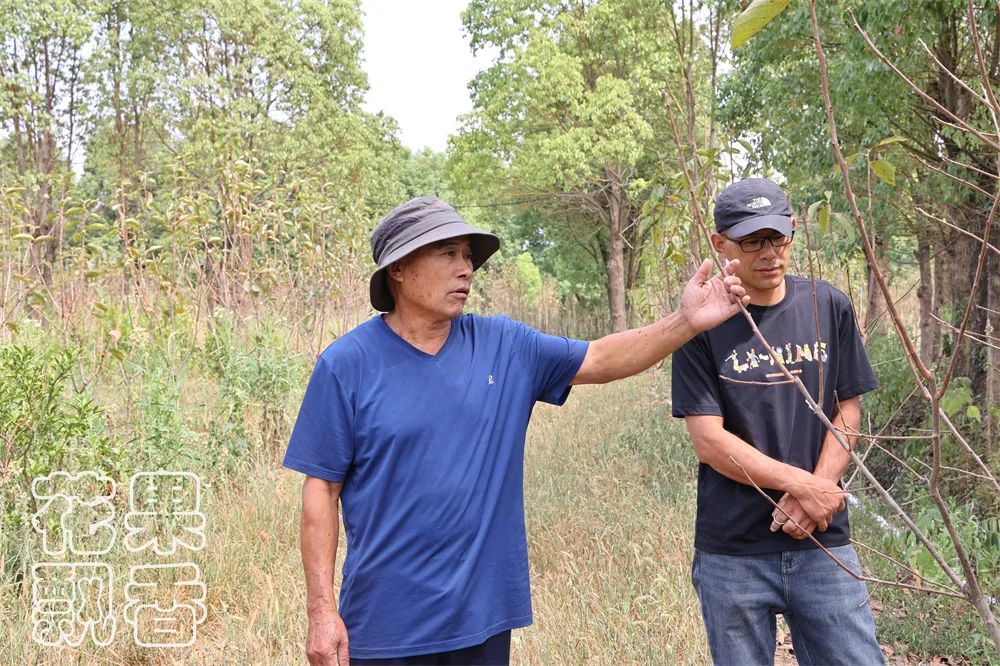 老农告诉大家农作物种植,农资人对农户的忠告