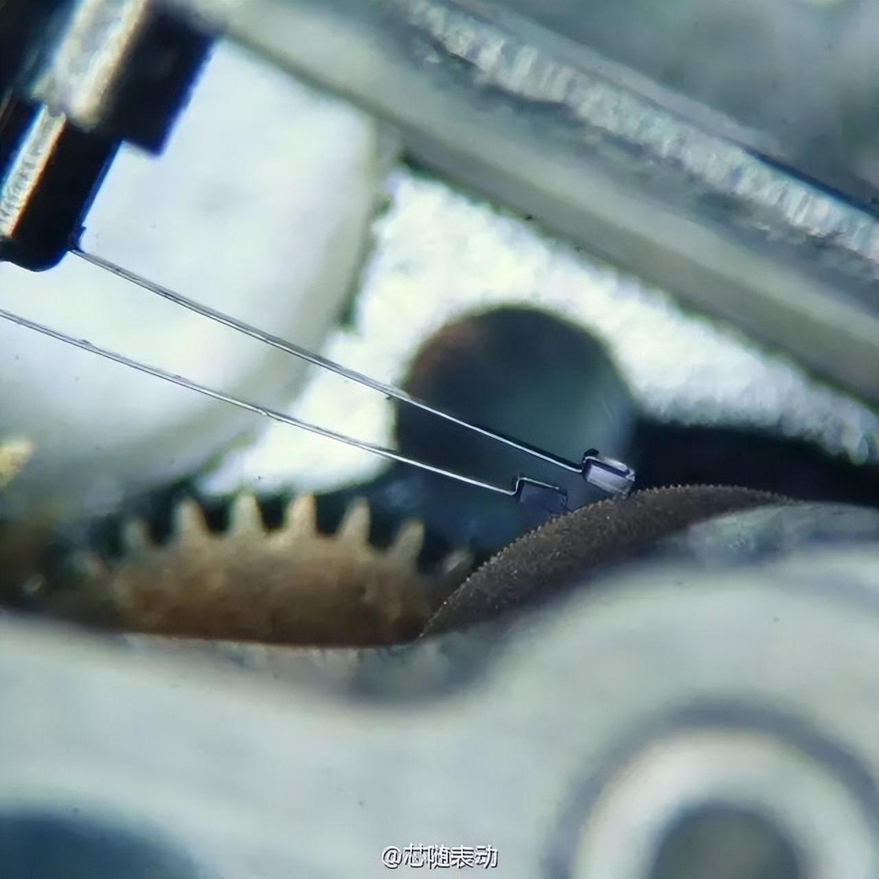 汉米尔顿这个品牌怎么样,汉米尔顿在美国卖多少钱