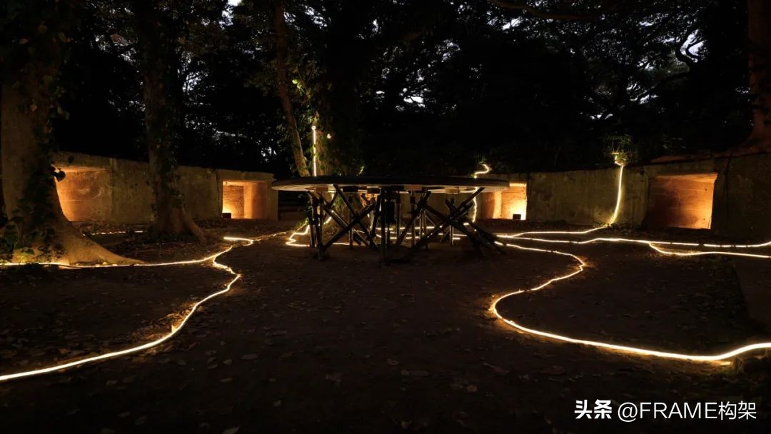 一周最受欢迎|Aesop多伦多体验店、哥伦比亚公寓、日本TreeSays