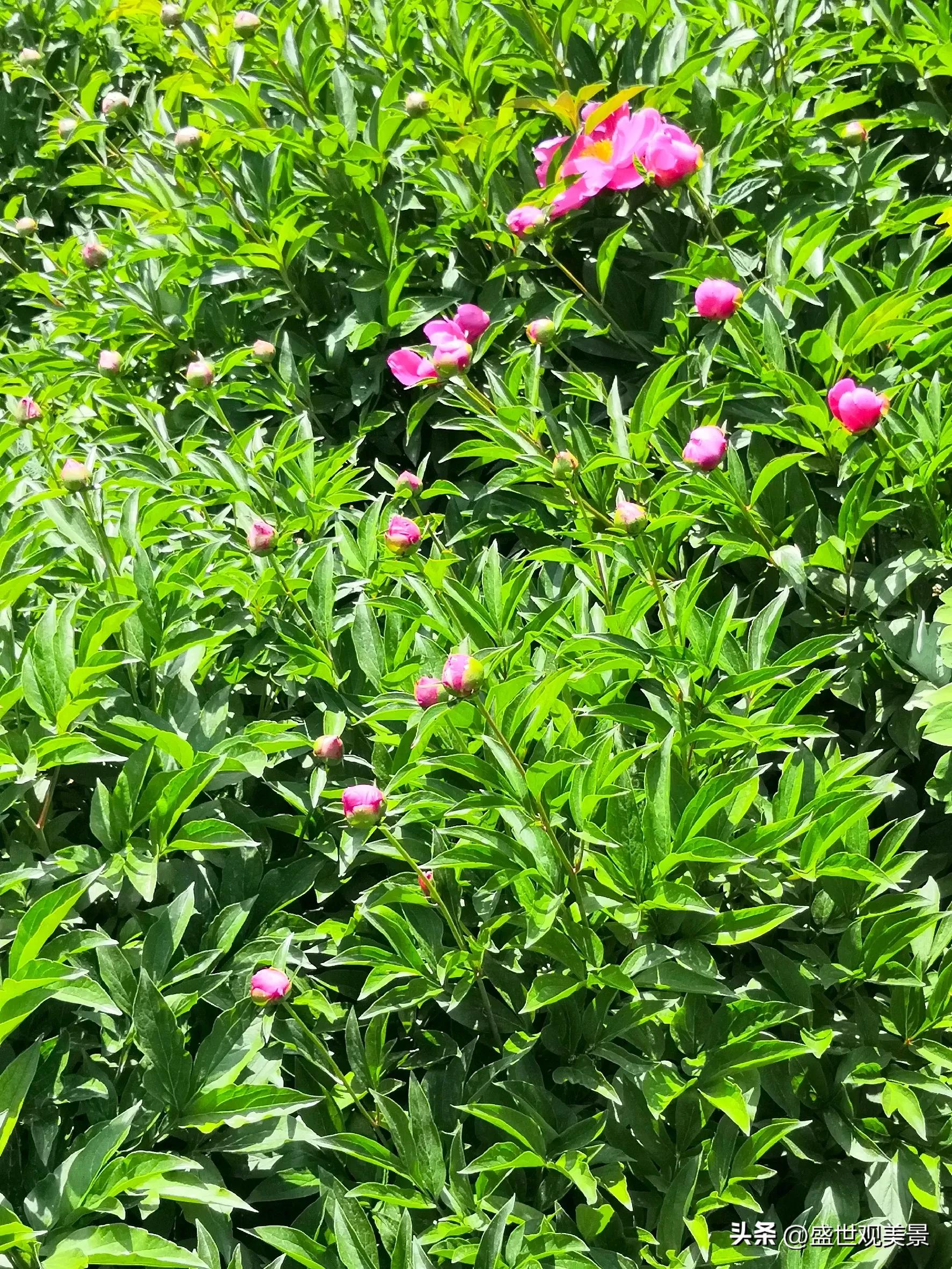 怎样找到头条的流量密码,头条原创文章怎么加推荐量