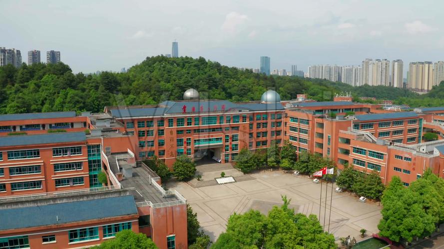 2022年贵州省高考状元,贵州省2019年高考状元