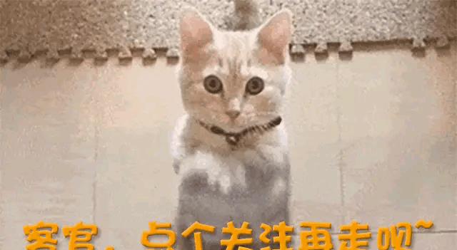 十大女星化妆前后对比,女星的素颜差距能有多大杨幂