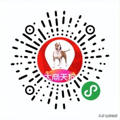 哈尔滨市商务局网站,哈尔滨购物商城哪个最好