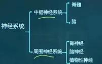 心理学基础第1章第2章笔记,心理学与教育心理学概述总结