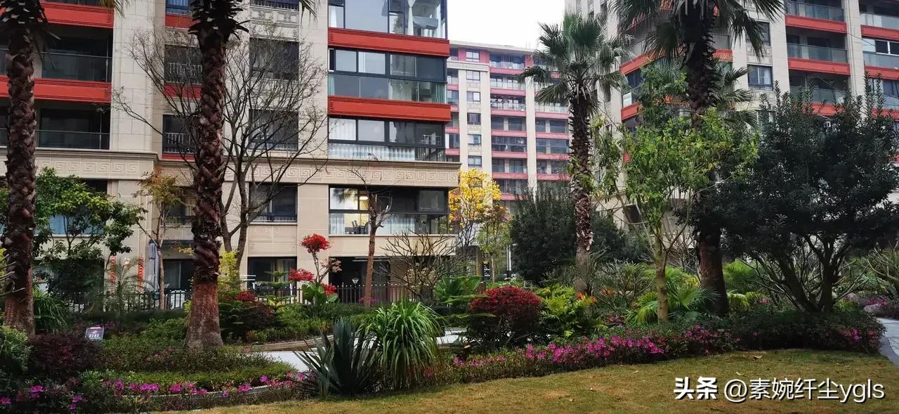 学生在学校运动比赛中碰伤谁负责,学校比赛拉伤了学校是否承担责任