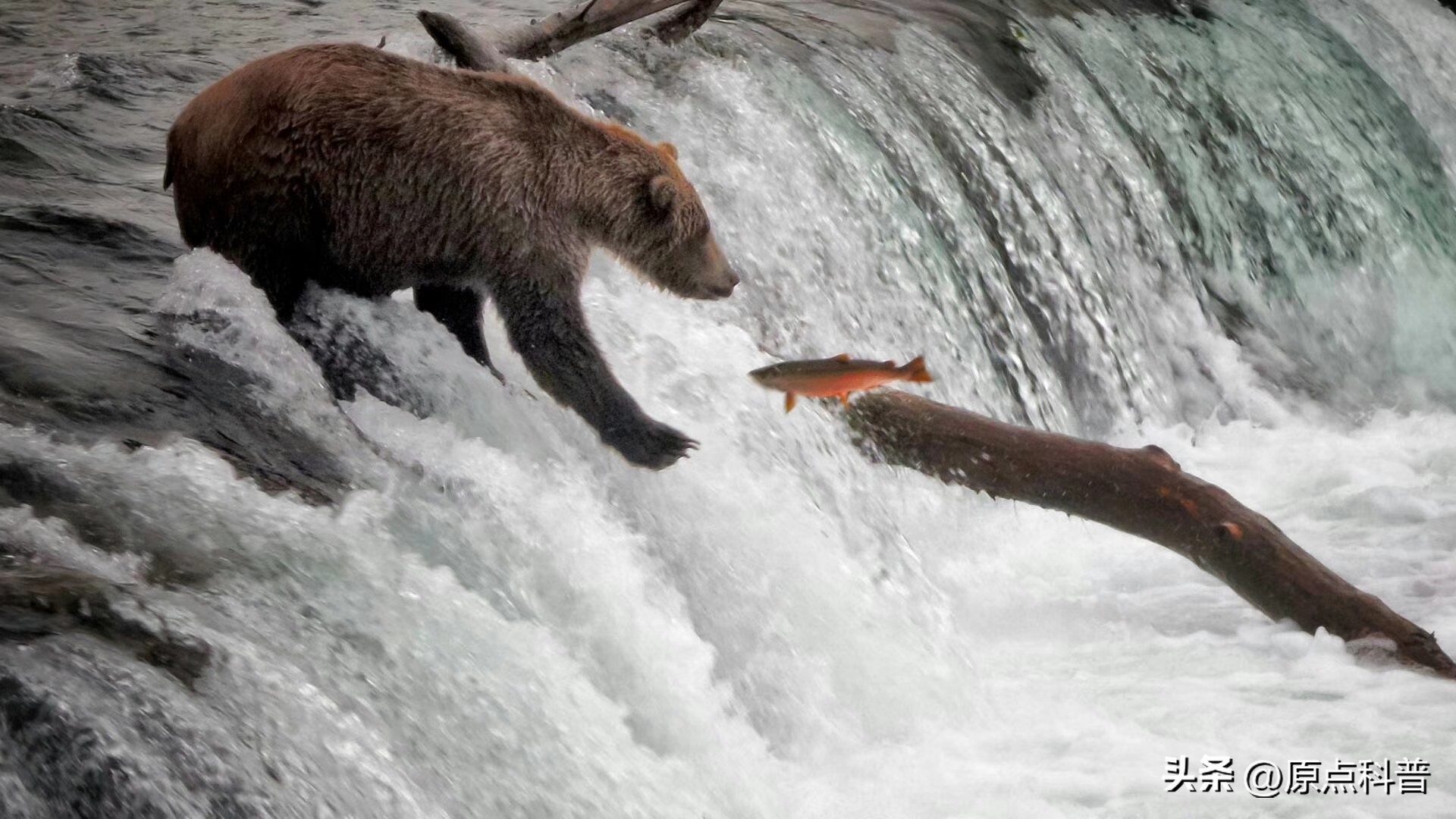 世界上七大离奇事件视频,世界各地发生的奇异现象