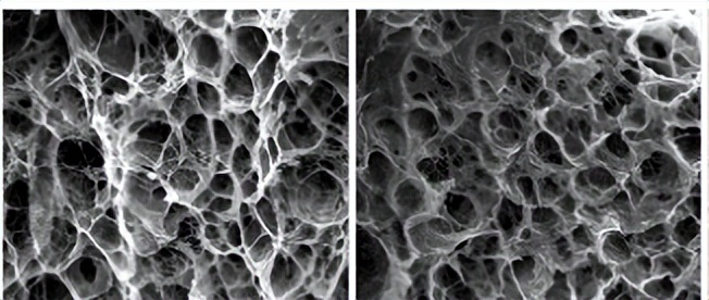 PVA-纳米SiO2对混凝土抗疲劳性能影响及机理分析