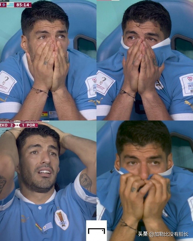 哪些球队无缘世界杯感到遗憾,没有参加过世界杯的10大巨星