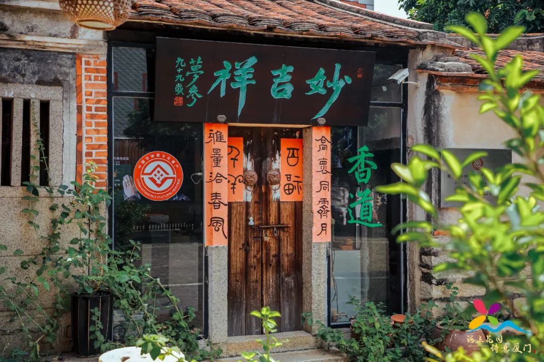 香港新晋的明星,现身厦门的香港明星