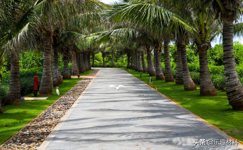 三大变化,西沙竟有这么漂亮的渔村,赵述岛这“翻身仗”打得漂亮