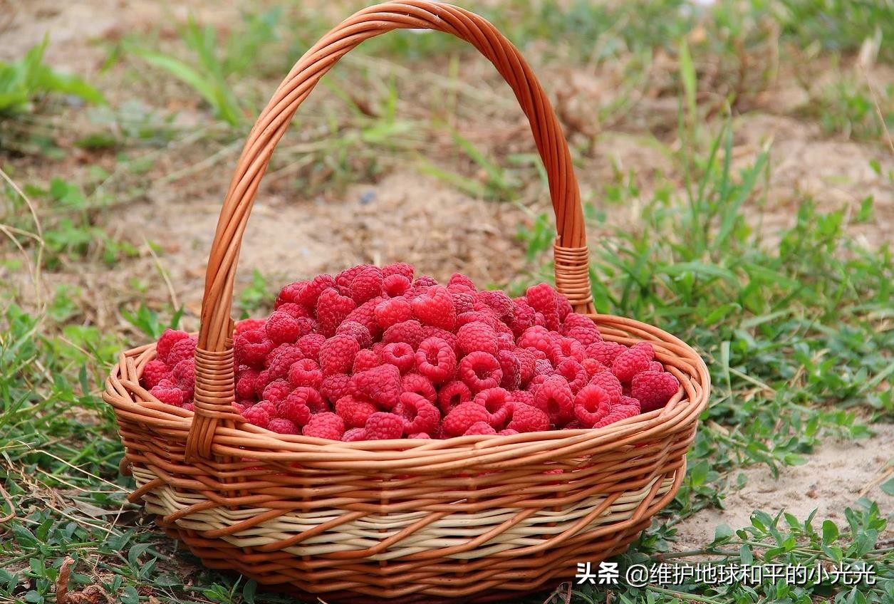 怀念儿时的美食,怀念东北食物