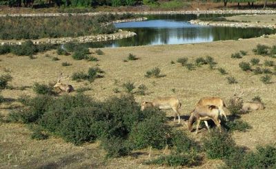 北京大兴第一城,北京大兴繁华地段