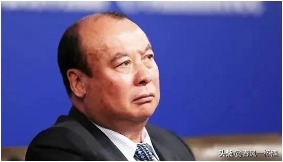 泛海集团卢志强和潍坊的关系,泛海控股老板卢志强