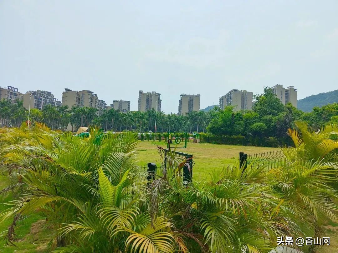 珠海遛狗有市场吗,珠海有哪些地方可以遛狗啊