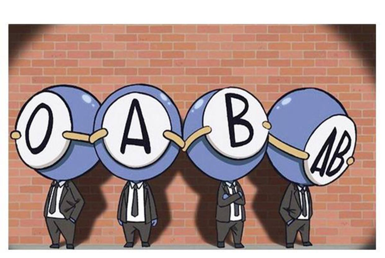 a型b型o型ab型哪种血型好,a型b型ab型o型哪种血型的血最多