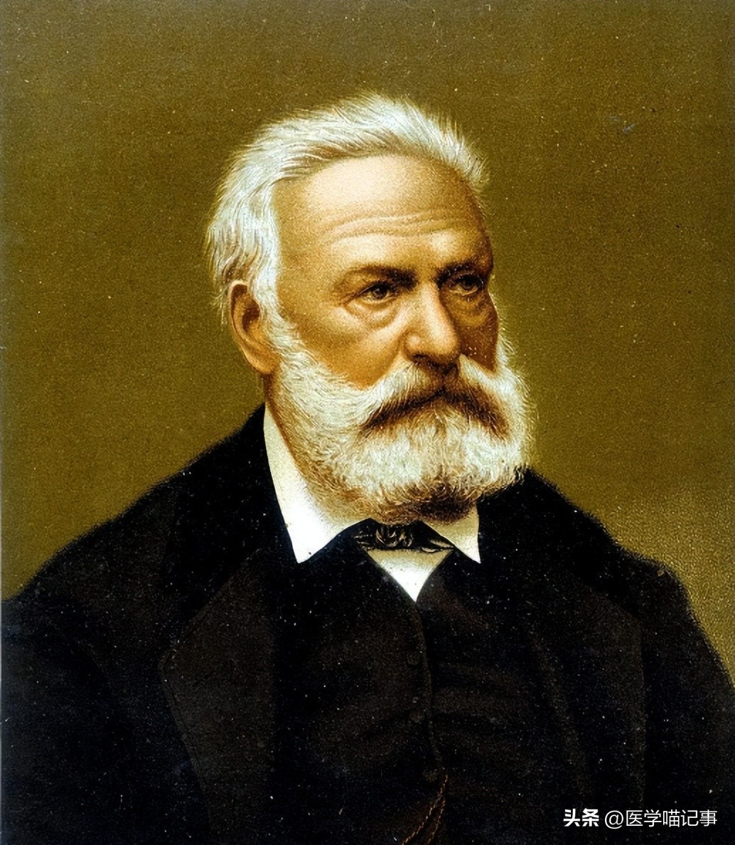 雨果诗歌和小说创作,雨果诗歌和小说创作的成就