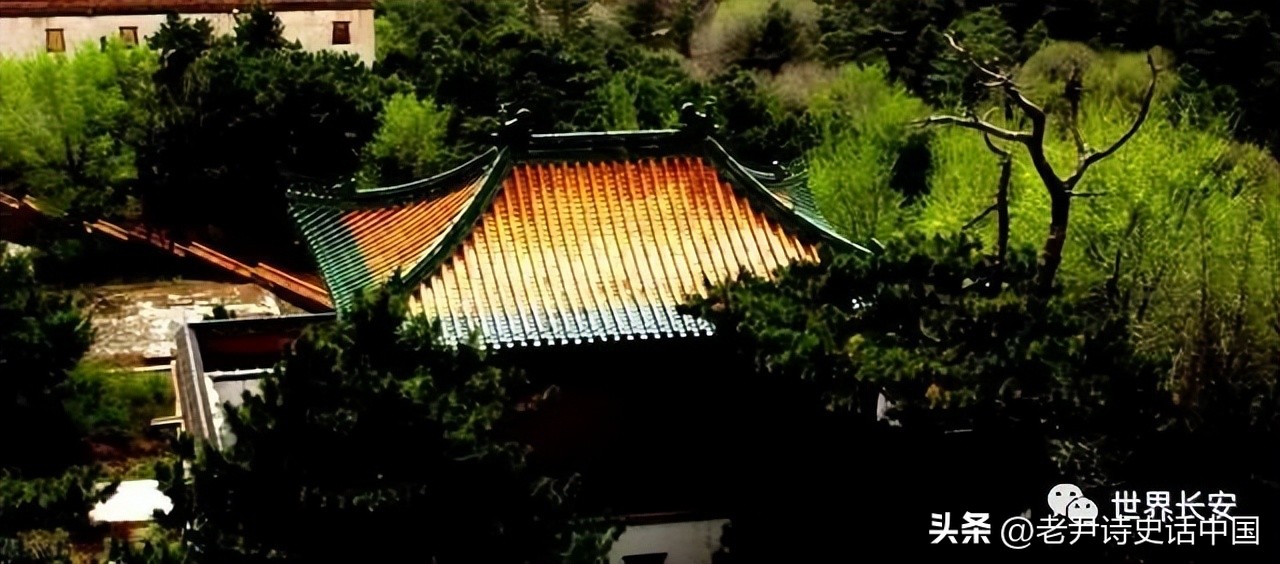 讲清朝十二帝真实的历史,清朝十二帝历史讲解详细