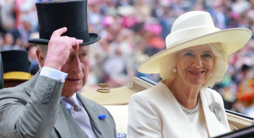 卡米拉惊艳瞬间,查尔斯卡米拉最新视频