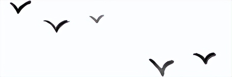 今日白露养生,今日白露节气