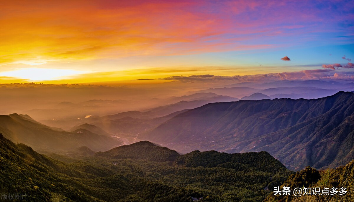 盘点2022年的网络流行梗,咬文嚼字2022年十大流行语