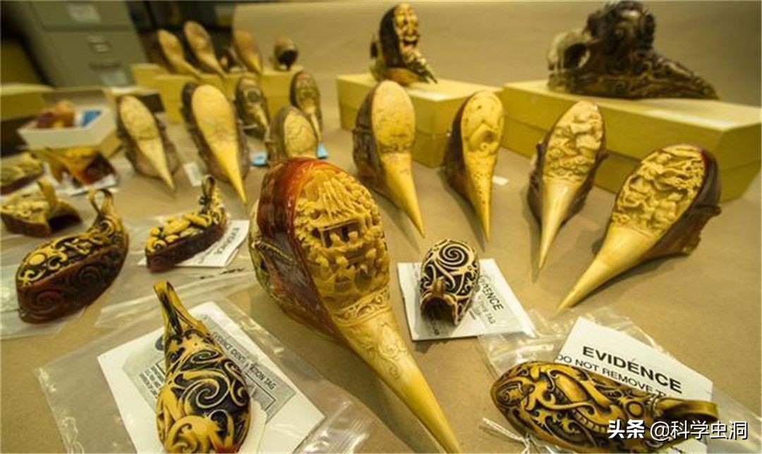 天津女子购买吊坠最终判决,天津女子购买项链吊坠获刑10年