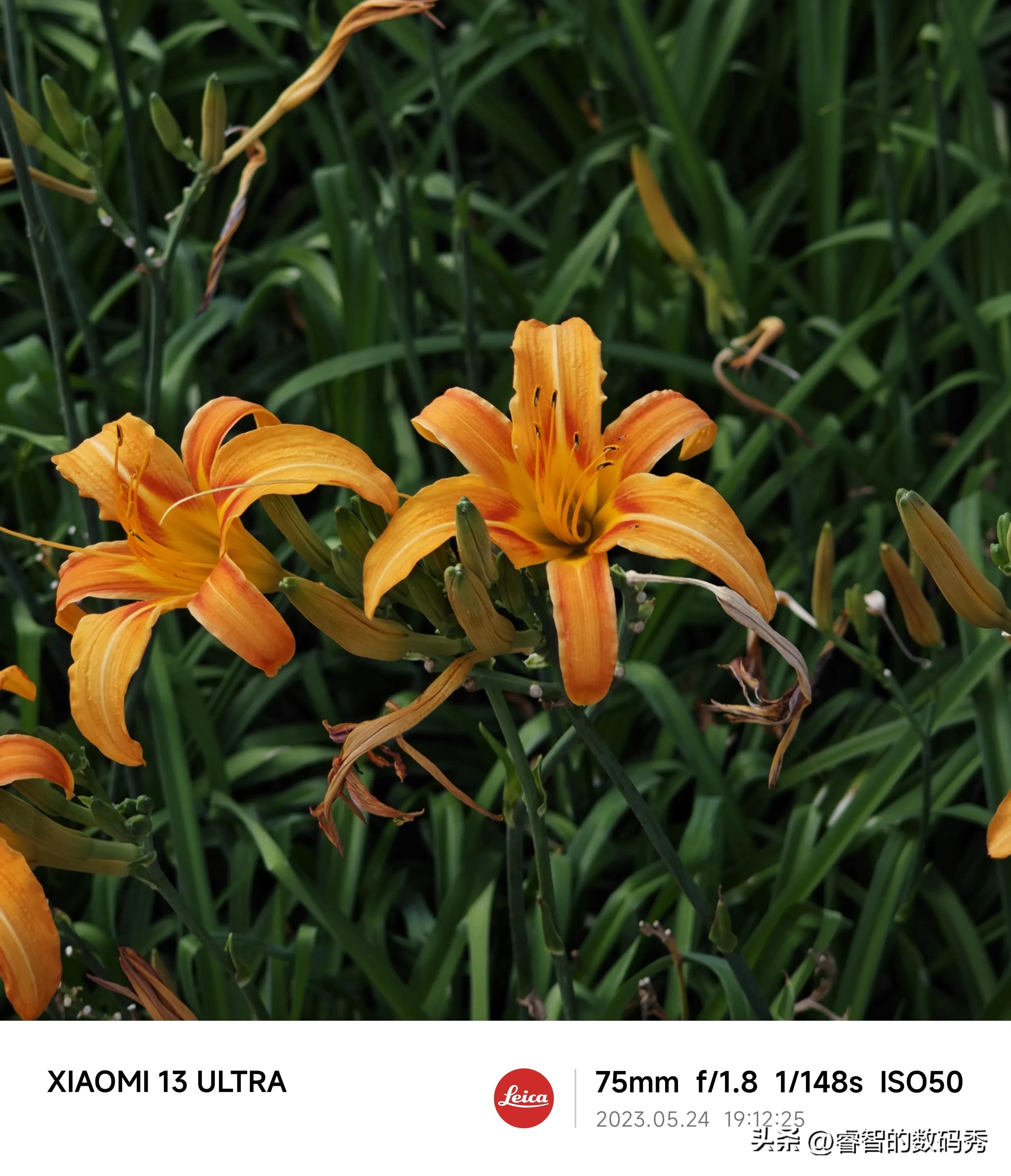 小米13ultra和莱卡相机,小米13ultra和徕卡相机对比