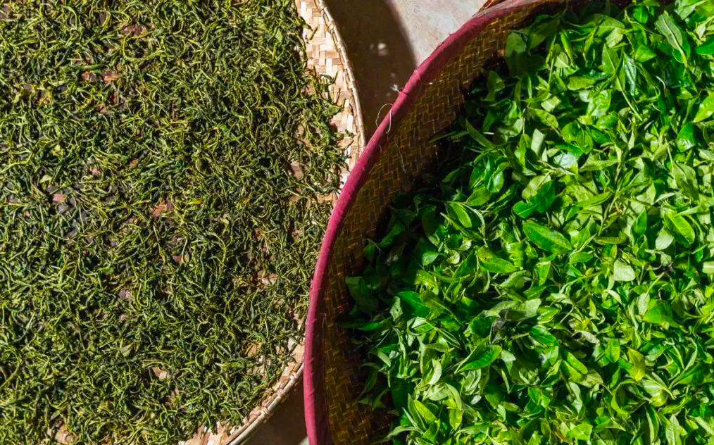 普洱茶的杀青和绿茶的杀青的区别,普洱茶杀青有什么优缺点