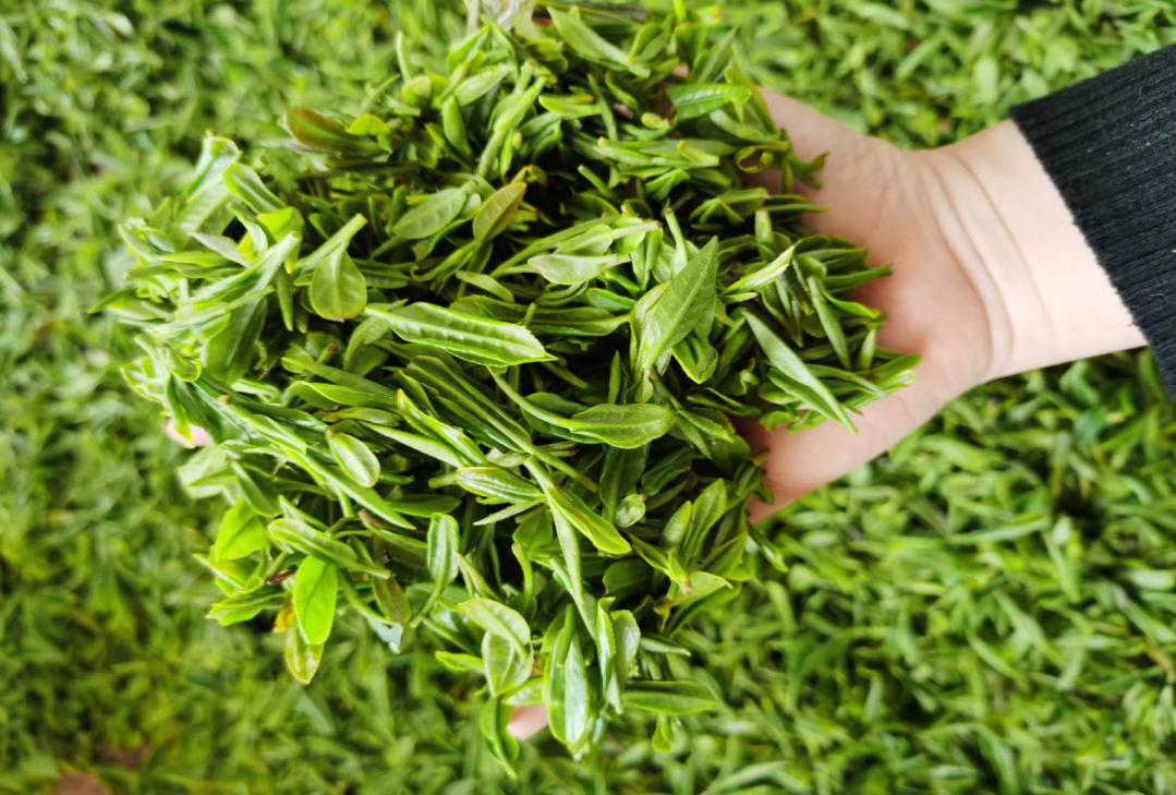 逛吃逛吃歌曲,逛吃逛吃大张伟