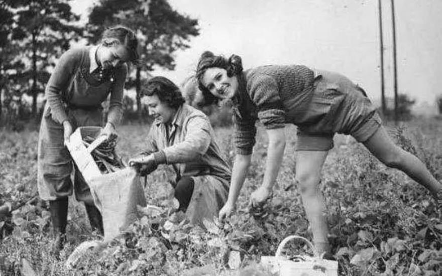 19世纪法国的女性服装风格,欧洲女性服装的变迁