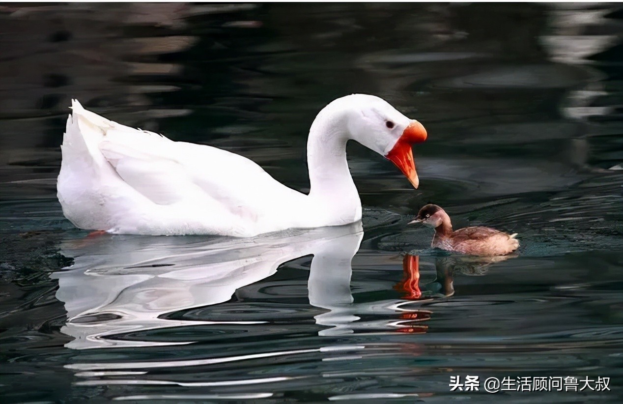 天府之国是该火一把了