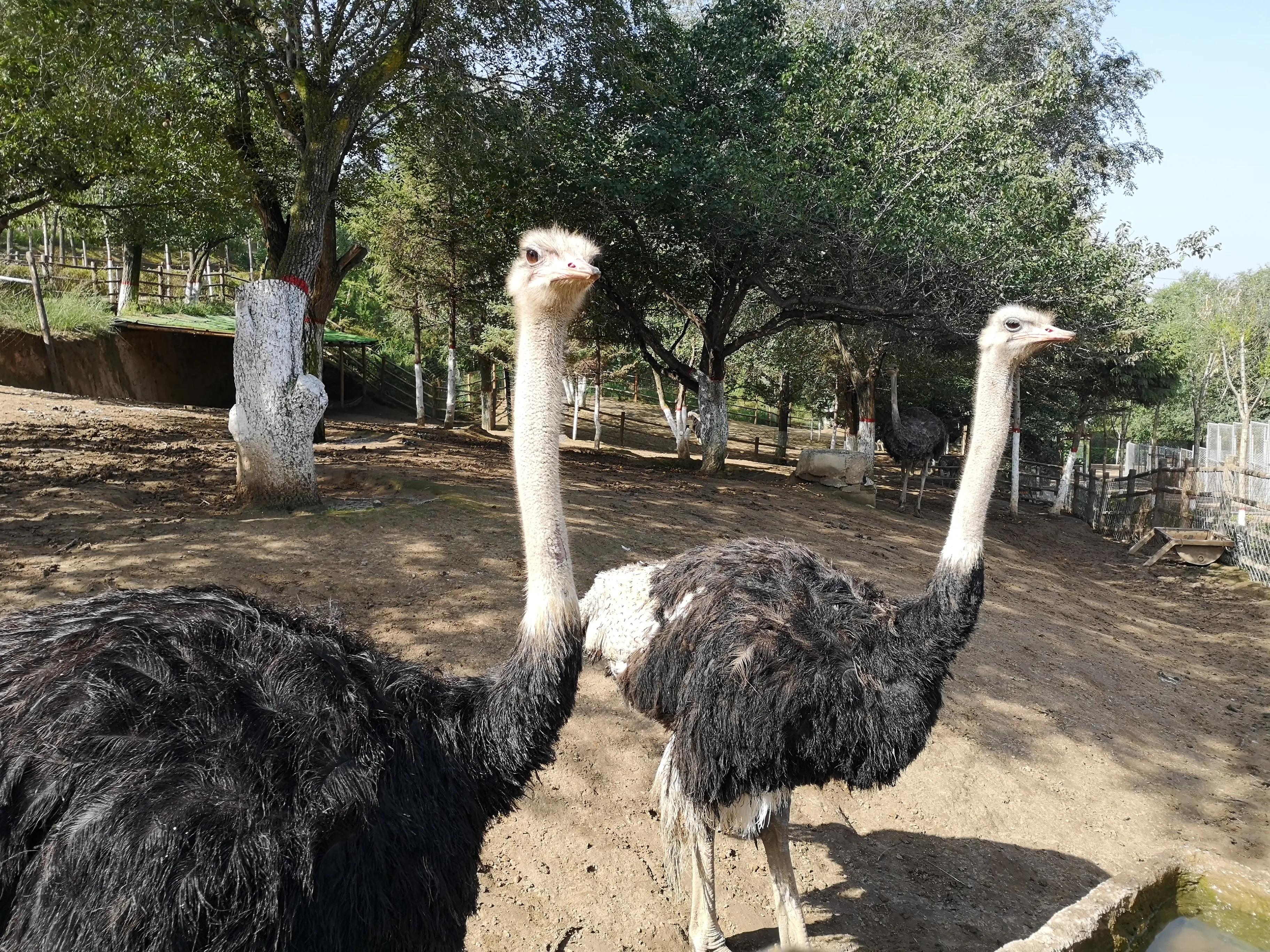 西宁一座不大的城市,西宁人少的山