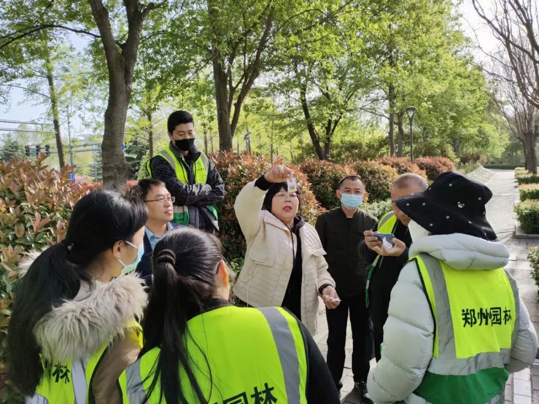 以虫治虫保护生态:济源“异色瓢虫”走进郑州园林