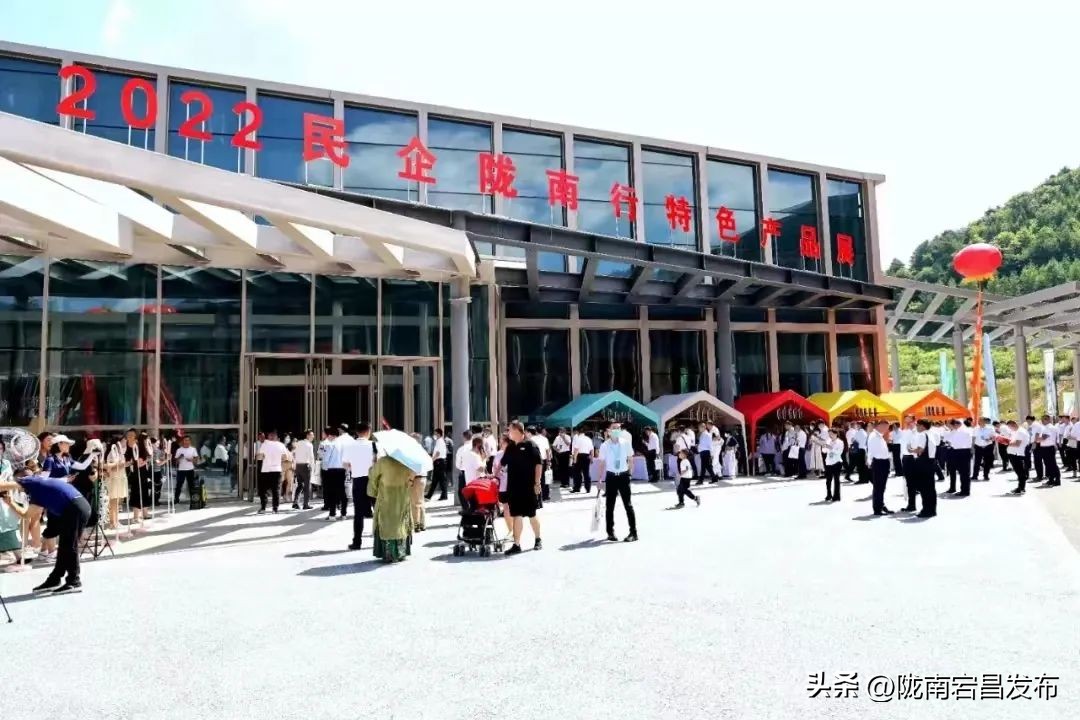 陇南经济运行情况,陇南市稳经济稳增长大会召开