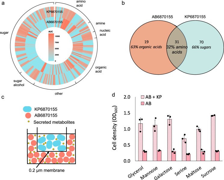 急思广益|研究发现鲍曼和肺克协同机制促进二者共存