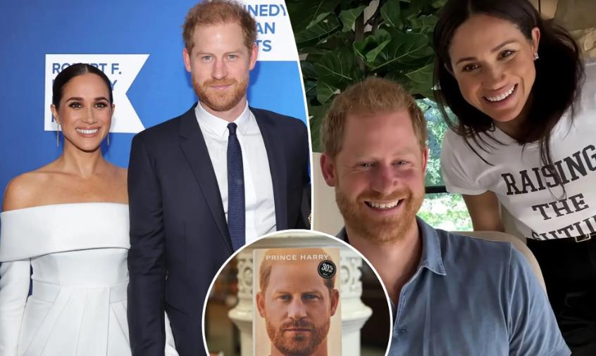 梅根哈里赚钱,梅根哈里靠什么赚钱