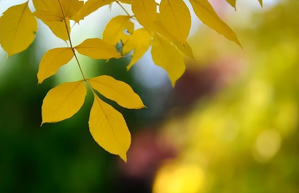 普通人如何一步一步变强的,普通人要如何才能变强