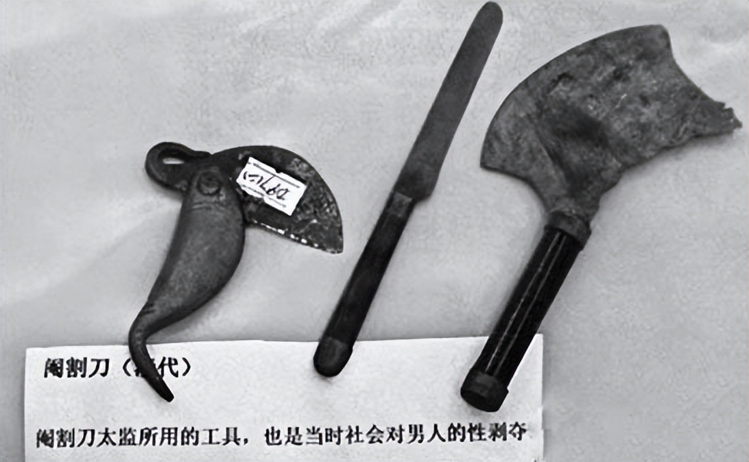 绝了，全网都在喊引进这「阉割版」