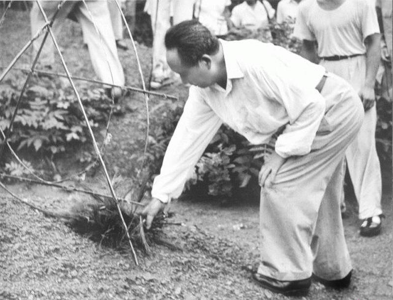 1959年，毛主席站在父母破旧的坟前：别修了，我走了，给我种土