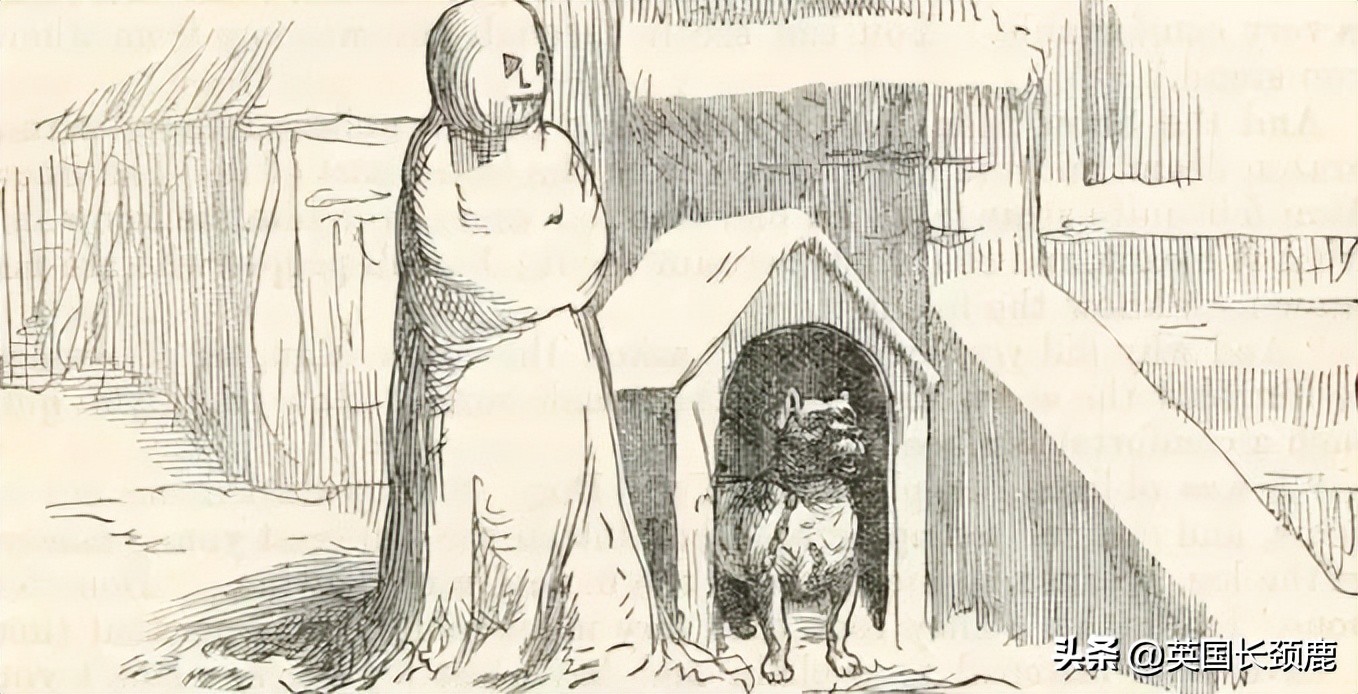 圣诞来啦！拔圣诞拉炮、喝Eggnog...有关圣诞习俗的超级科普