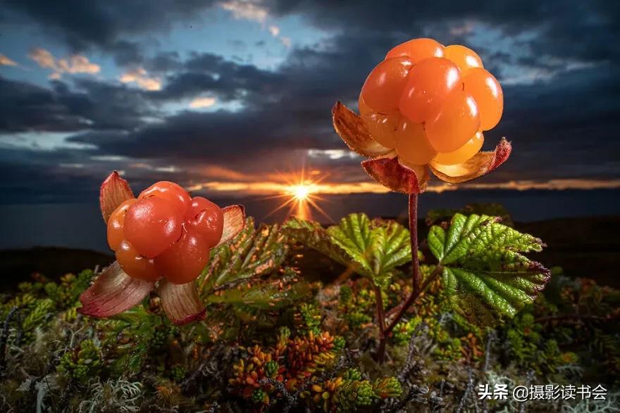 2018年度最佳摄影照片,创造出令人惊叹的自然摄影照片