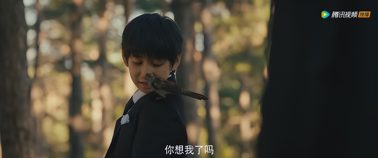 国产黑马不被看好却逆袭成功,国产黑马