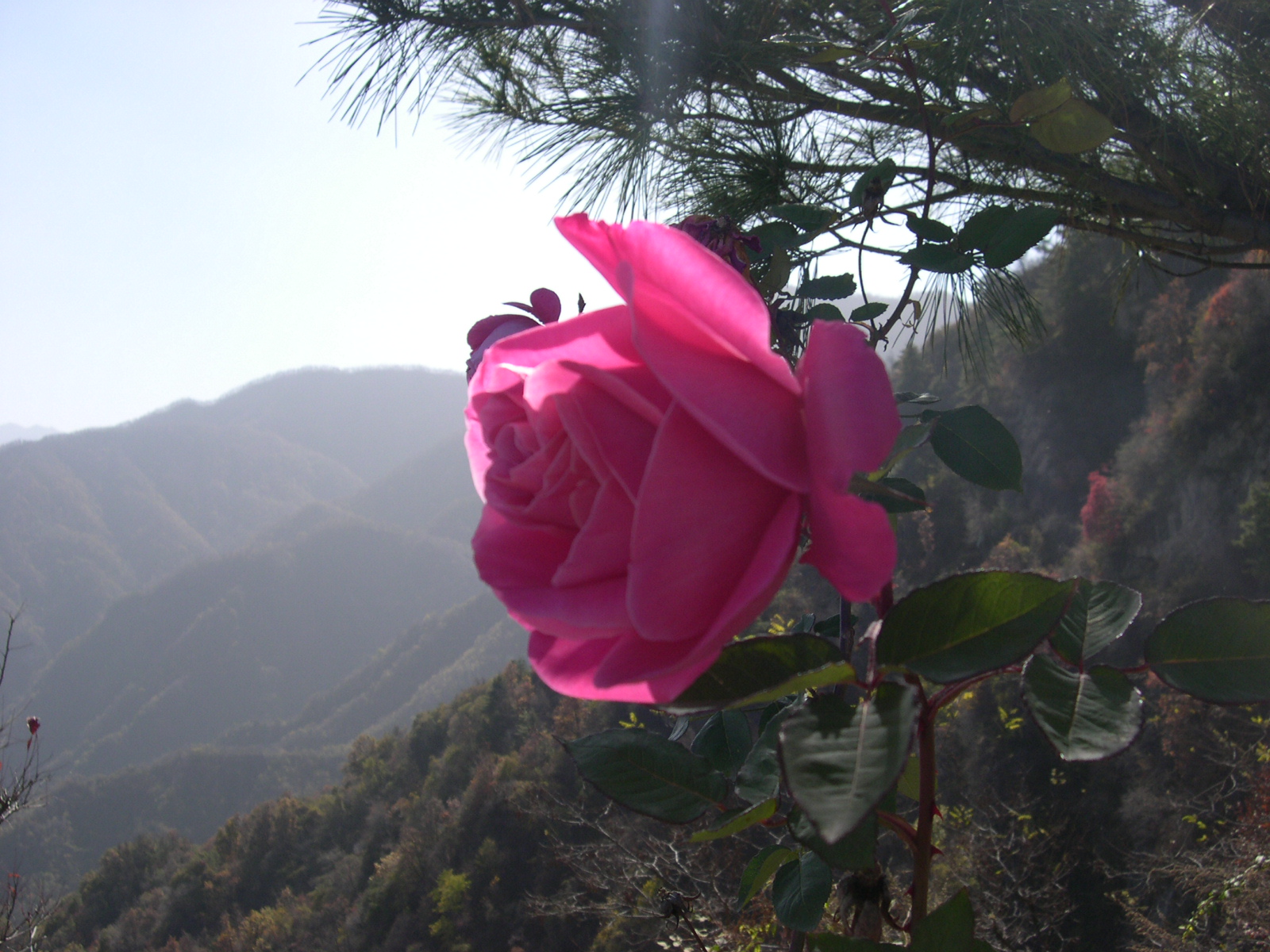 孔明的著作大全,孔明的散文