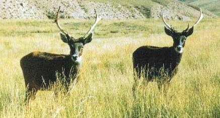 华中华北华南华东怎么区分,华中和华南对比