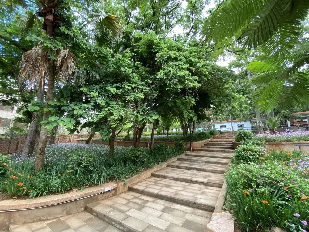 玉溪旅游线路推荐表最新,云南玉溪易门旅游攻略