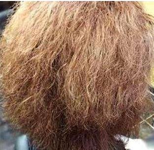 自然卷沙发发质粗硬怎么打理,怎样改善毛糙沙发发质